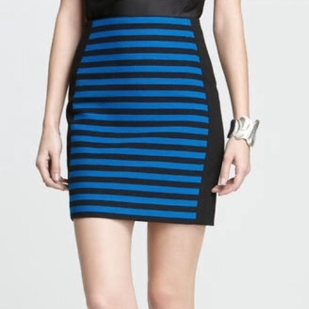 NWOT Ann Taylor Blue & Black striped skirt size 12 Petite (E25)